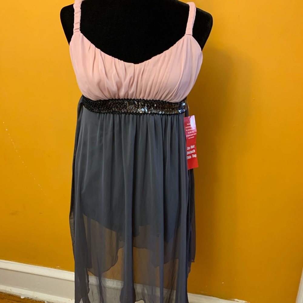 Swiss Storm dress